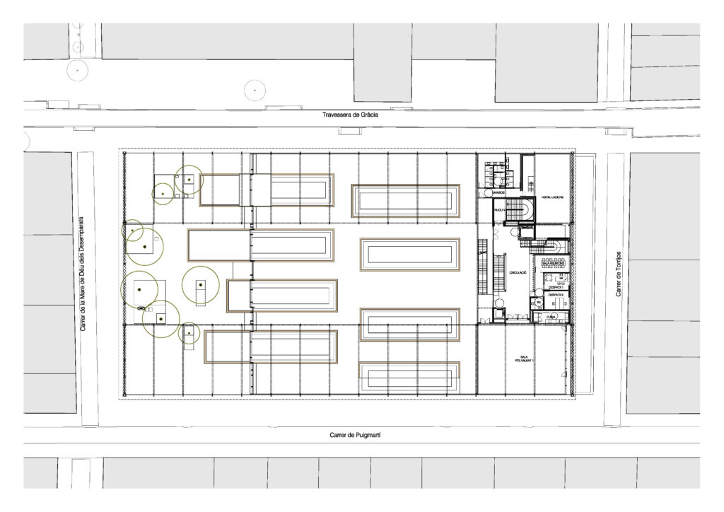 abaceria-planta-p1