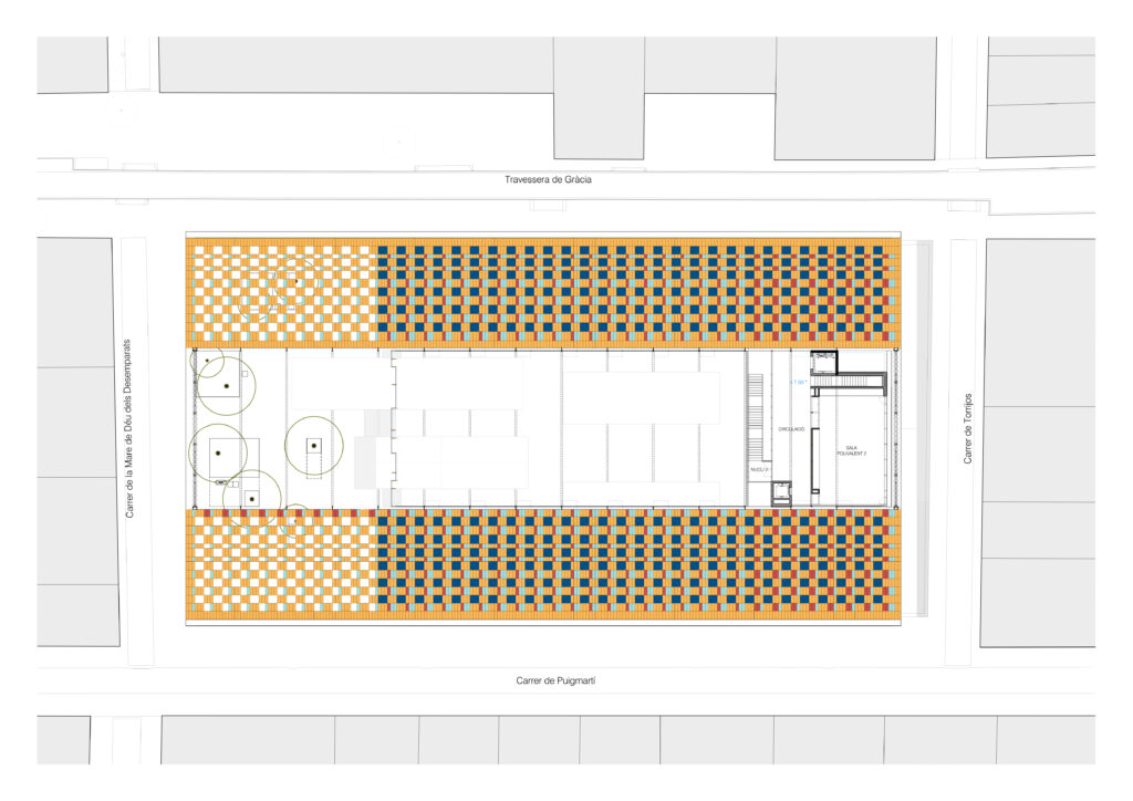 abaceria-planta-p2